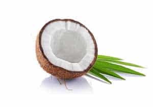 coconut-cannoli-flavor